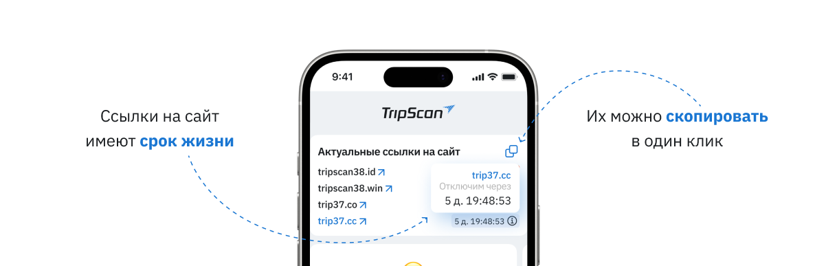 Trip71.co на смартфоне